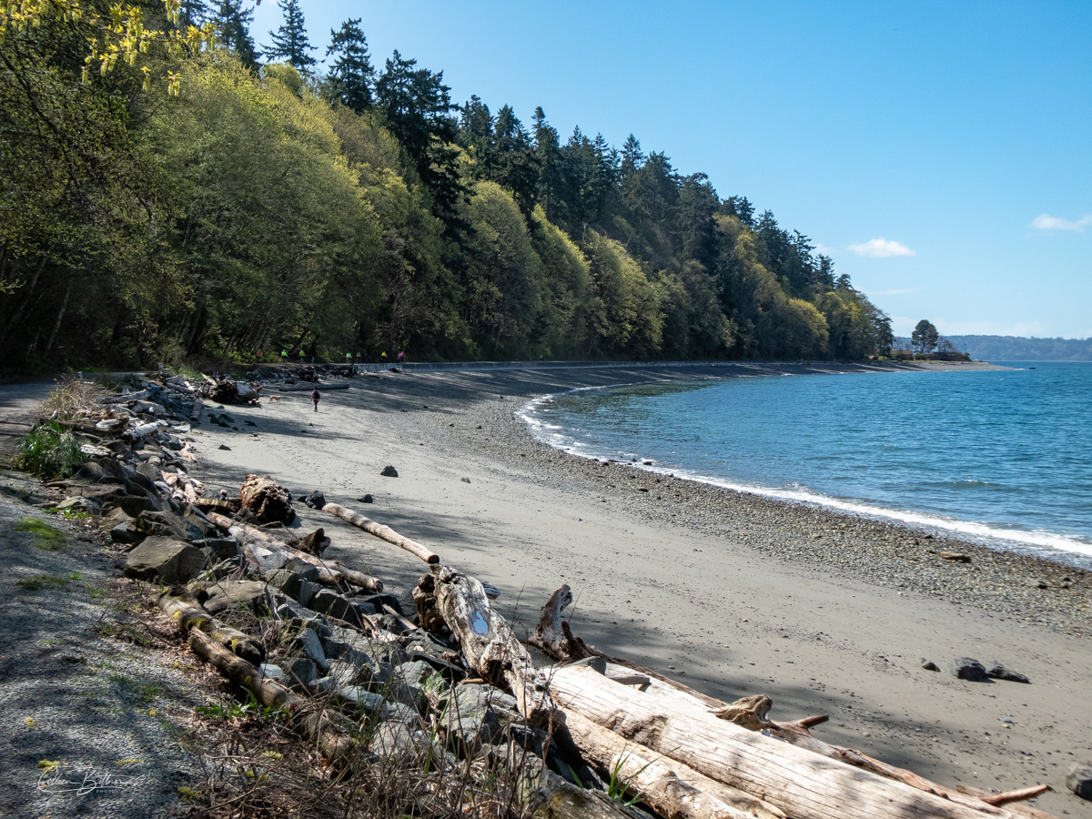 West Seattle beach – Sequim Daily Photo