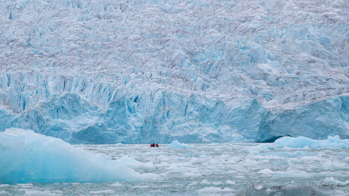 Faraway Friday-Arctic Scale – Sequim Daily Photo