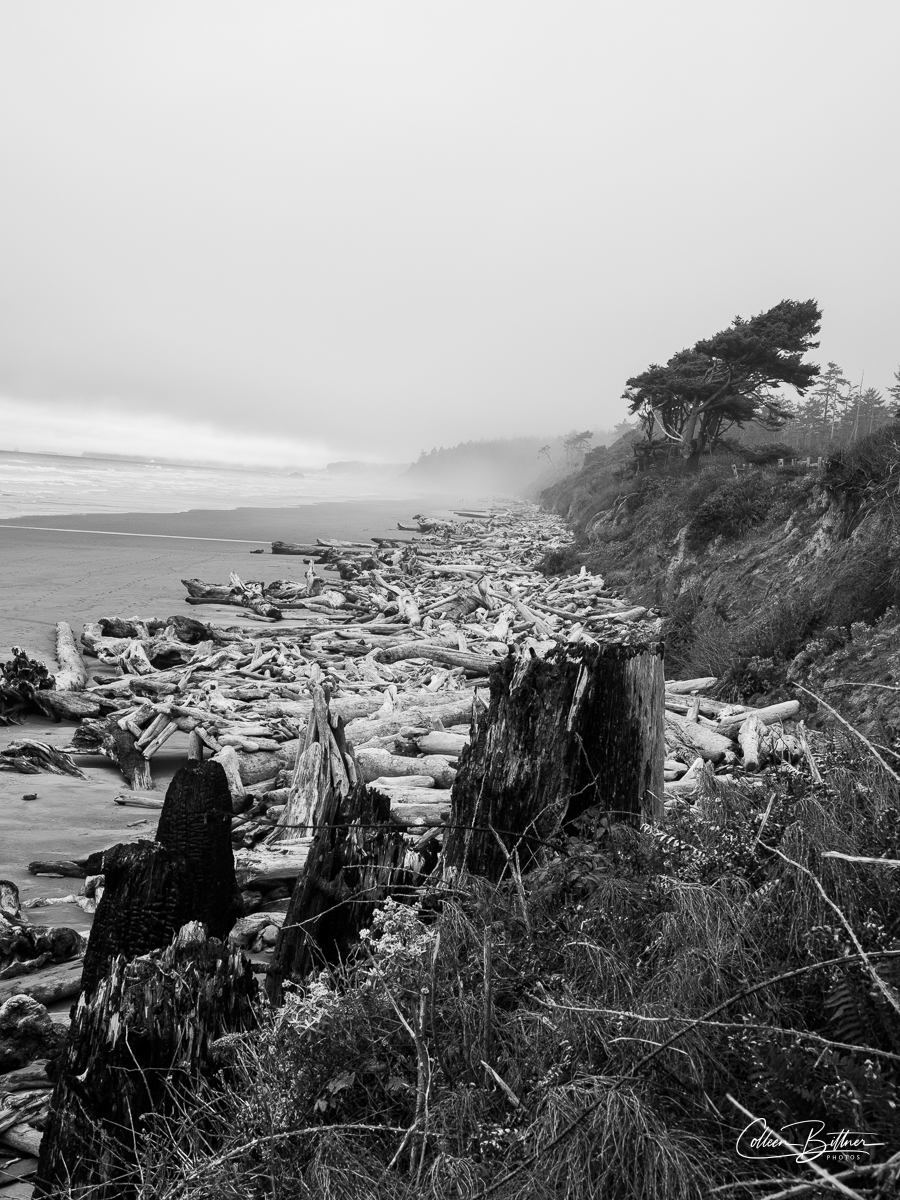 Beach #2 at Kalaloch – Sequim Daily Photo