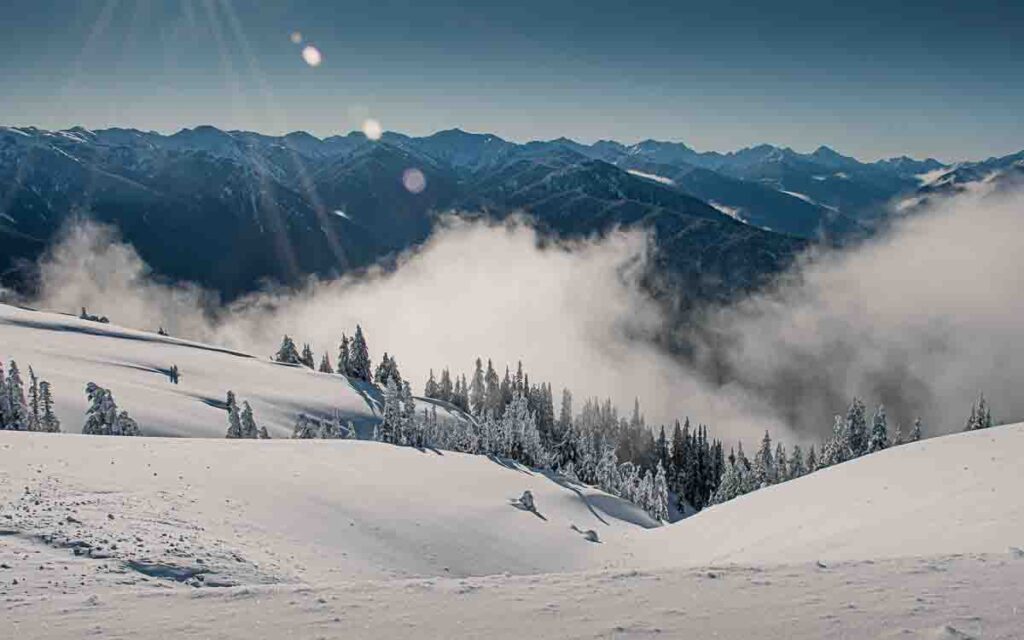 Hurricane Ridge Winter